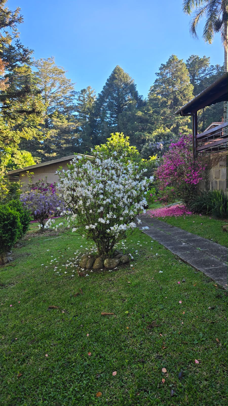 Jardim florido e bem cuidado